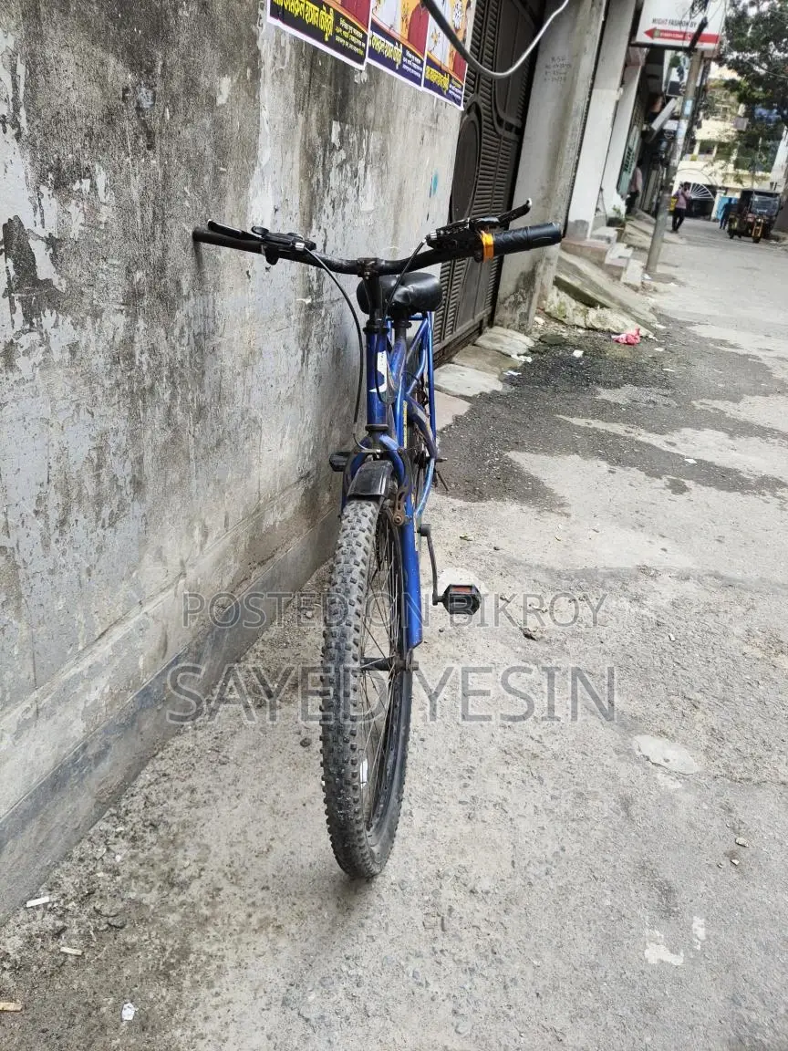 Tom Bike cycle sell