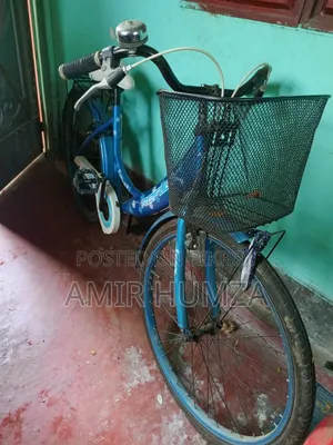 লেডিস সাইকেন