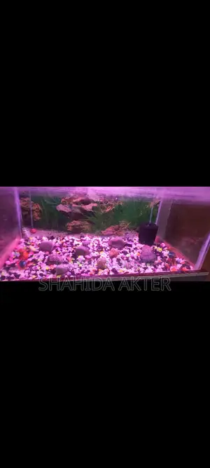 Aquarium Sell