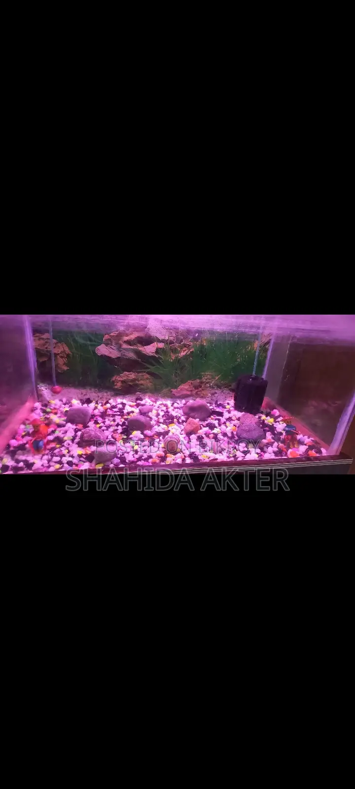 Aquarium Sell