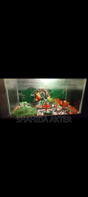 Aquarium Sell