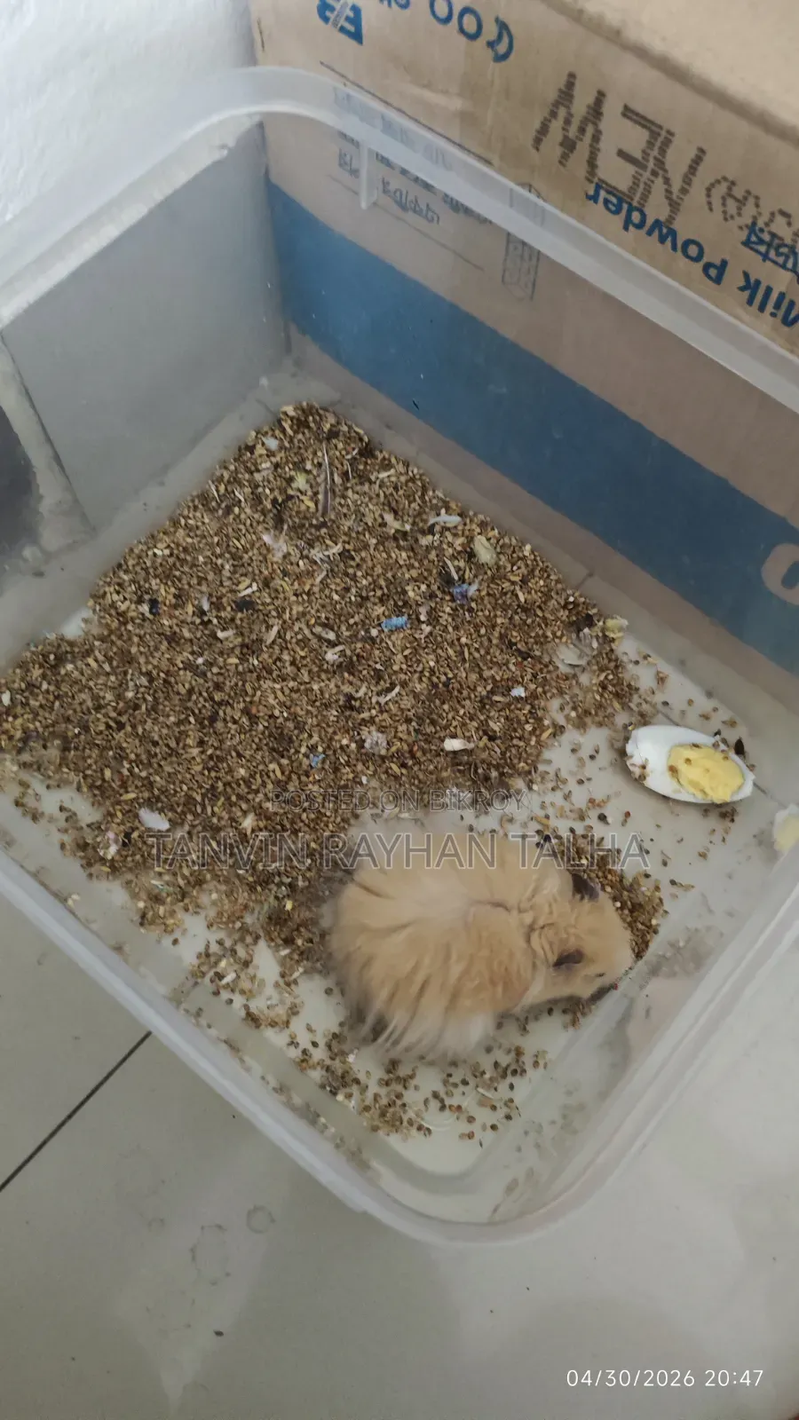 Take My Hamster