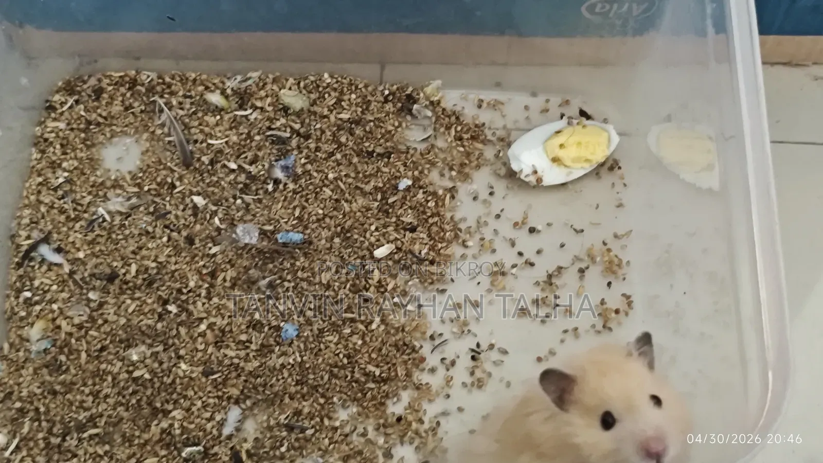 Take My Hamster