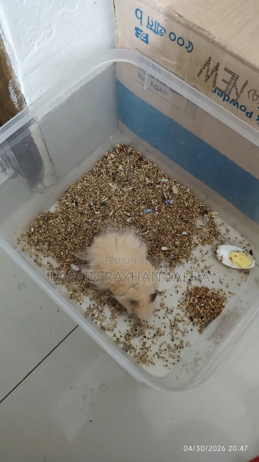 Take My Hamster