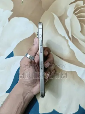 Apple iPhone 15 pro max (Used)