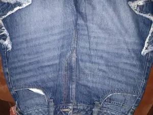 Ladies Denim Pant