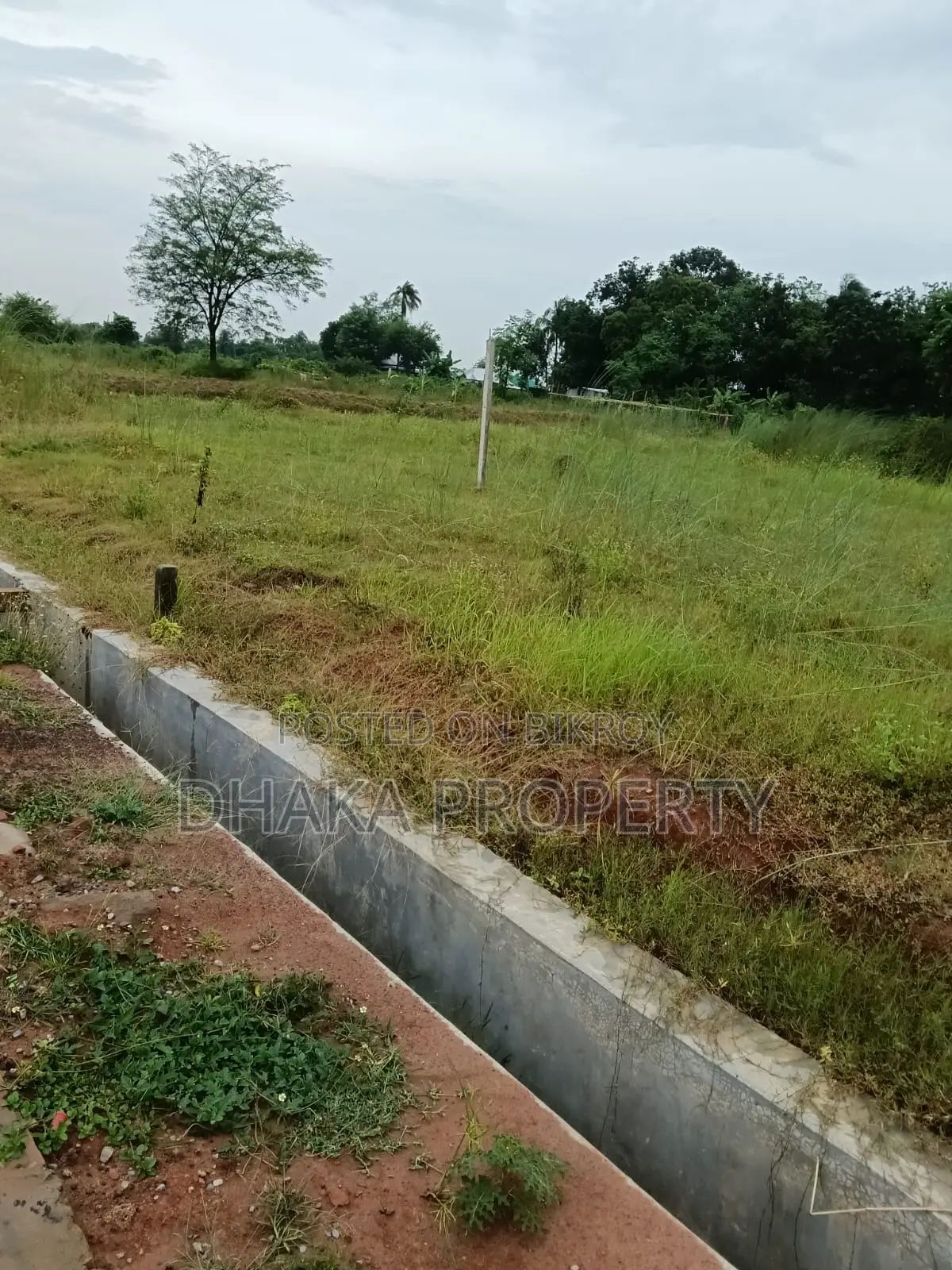 30ft Rd 3 Katha Forest North at Sector-24