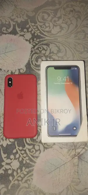 Apple iPhone X 256 GB (Used)