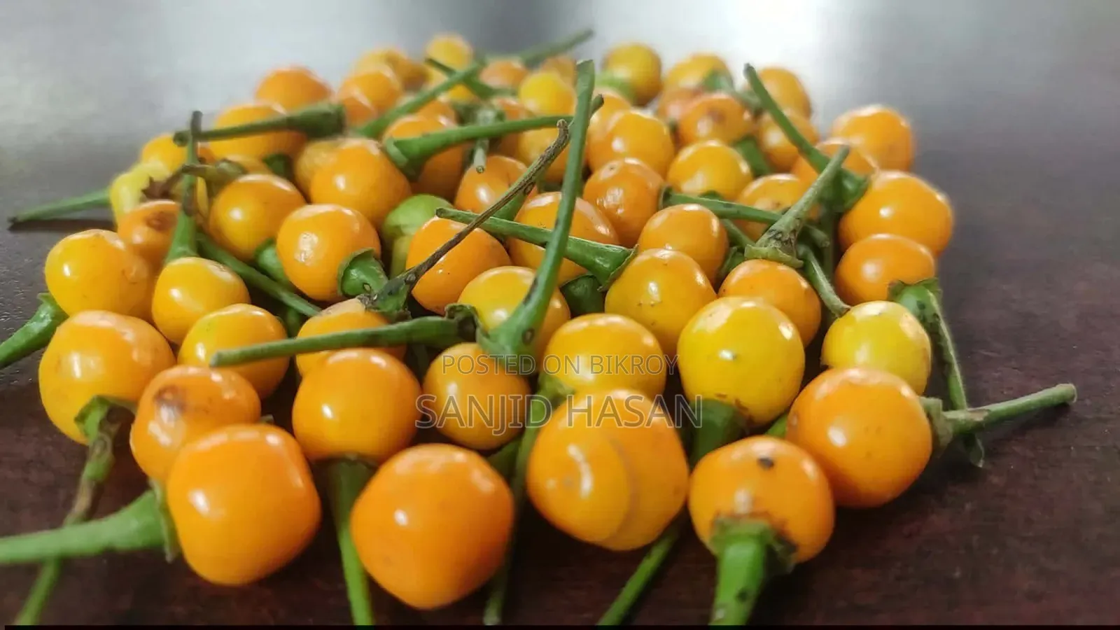 চারাপিতা মরিচ