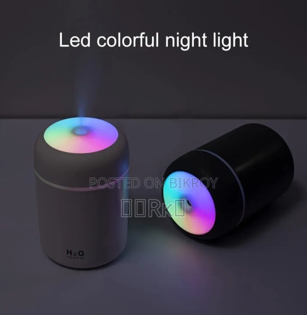 H2O Air Humidifier