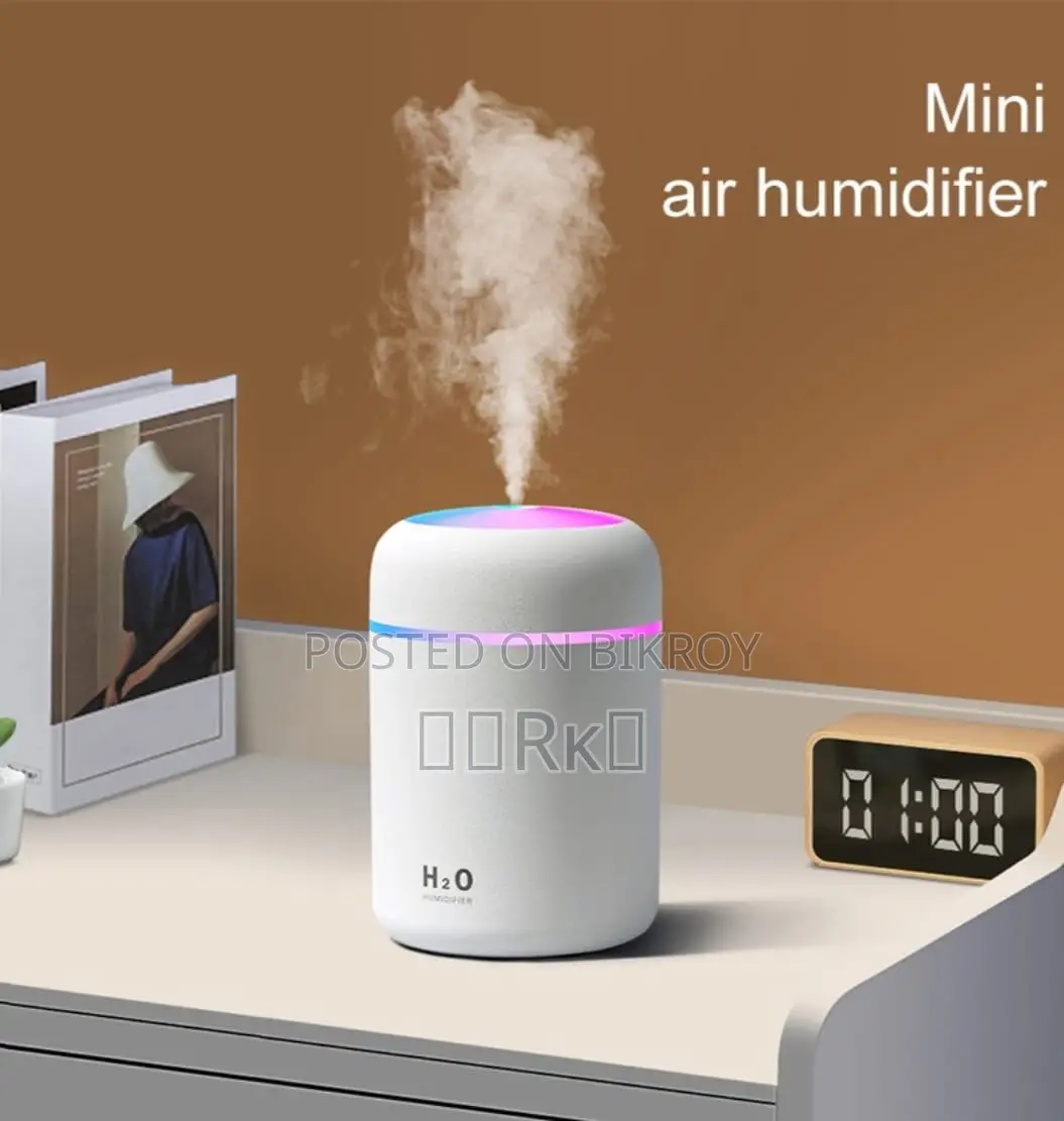 H2O Air Humidifier