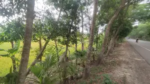 21 Decimal Land for Sale | Barishal (Adjacent to Highway)