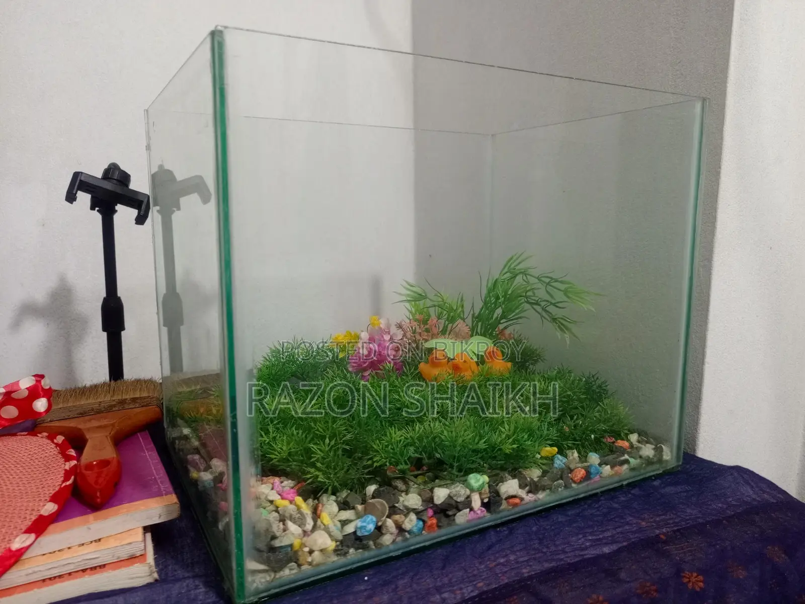 Aquarium Tank for Sale