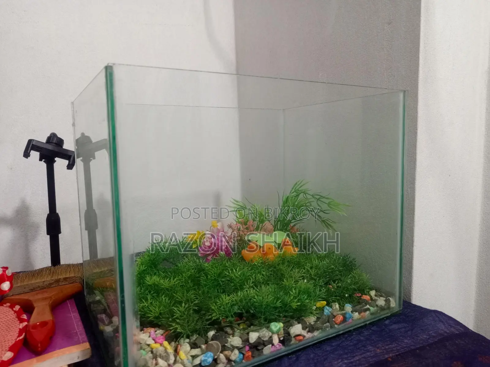 Aquarium Tank for Sale