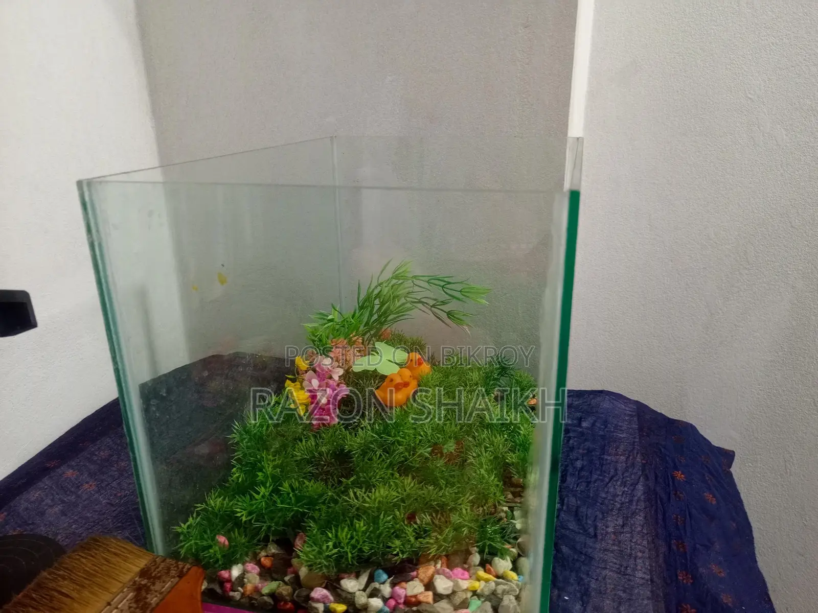 Aquarium Tank for Sale