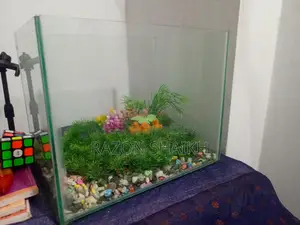 Aquarium Tank for Sale