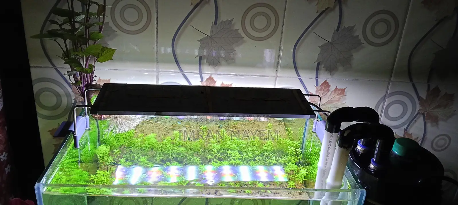 Planted Aquriam,,planted Light And Canster Filture