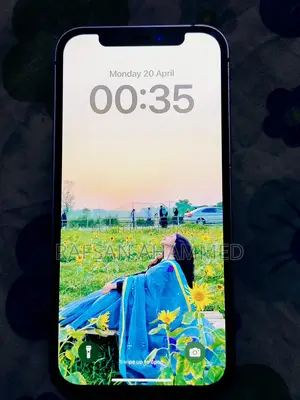Apple iPhone 12 (Used)