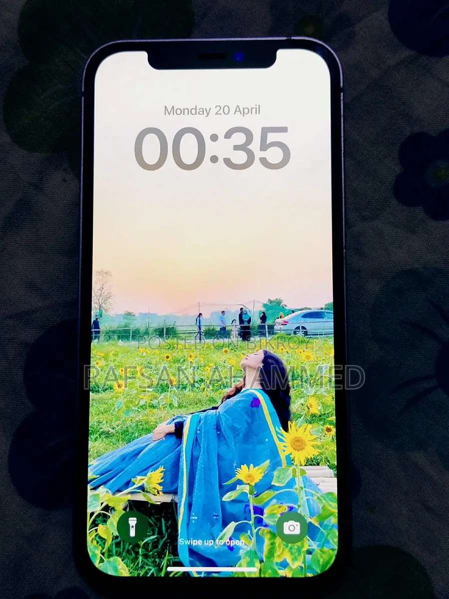 Apple iPhone 12 (Used)
