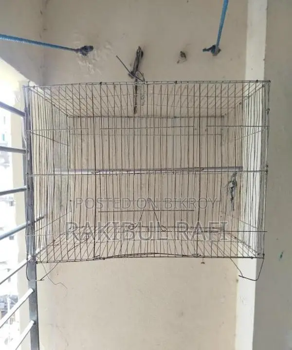 একটি ২ তলা কবুতরের খাঁচা এবং ছোট বিক্রয় করা হবে।