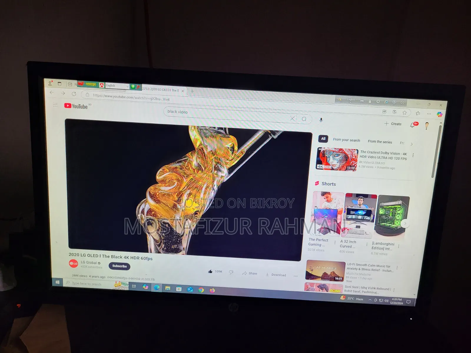 Hp Monitor P204v