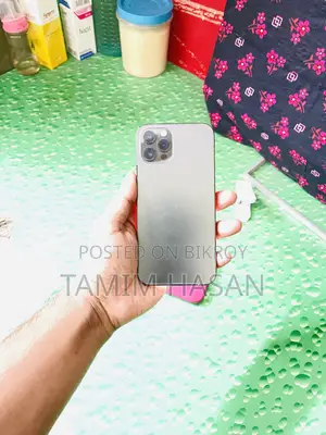 Apple iPhone 12 Pro 128 GB Gray