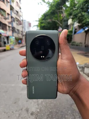 Xiaomi 13 Ultra (China) 256 GB Green