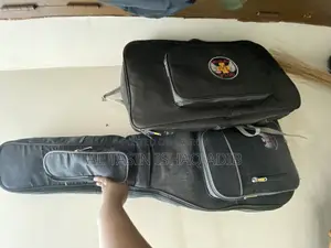 Guitar + Possessor With Bag
