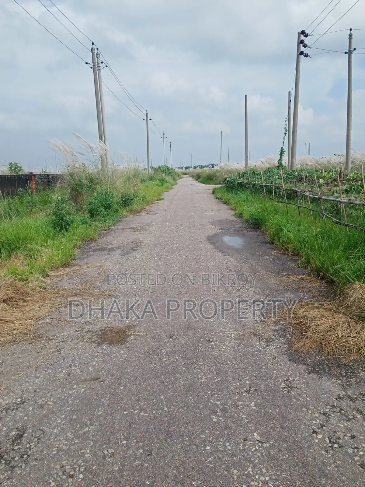 Dps School 3 Katha East At Sector-15/E