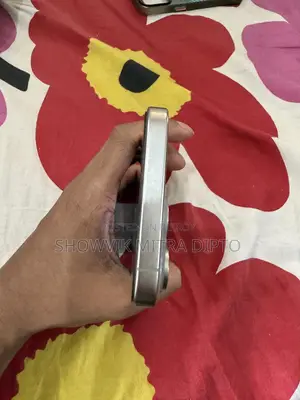 Apple iPhone 15 Pro Max 256 GB Silver