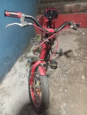 Solex Cycle