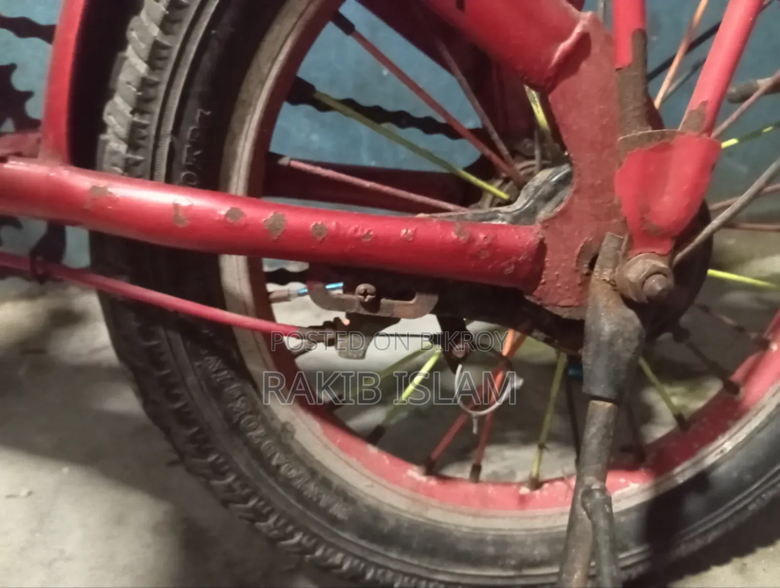 Solex Cycle
