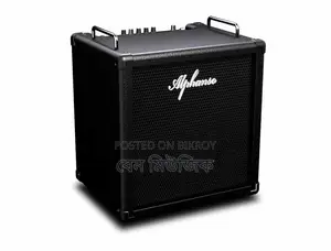 45 Watt Bass Amp - Alphanso Martina 12