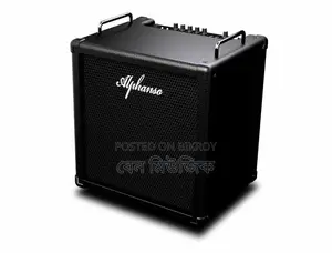 45 Watt Bass Amp - Alphanso Martina 12