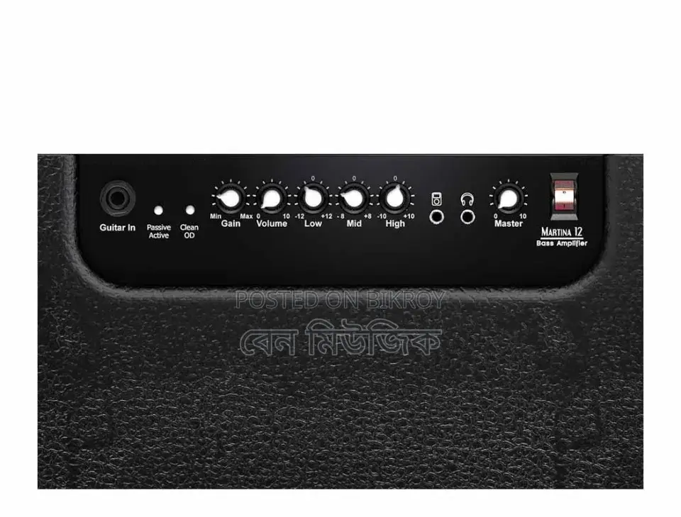 45 Watt Bass Amp - Alphanso Martina 12