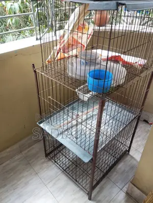 একটি ডাবল খাঁচা সেল হবে