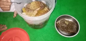 বিভিন্ন ফুলের পিওর মধু