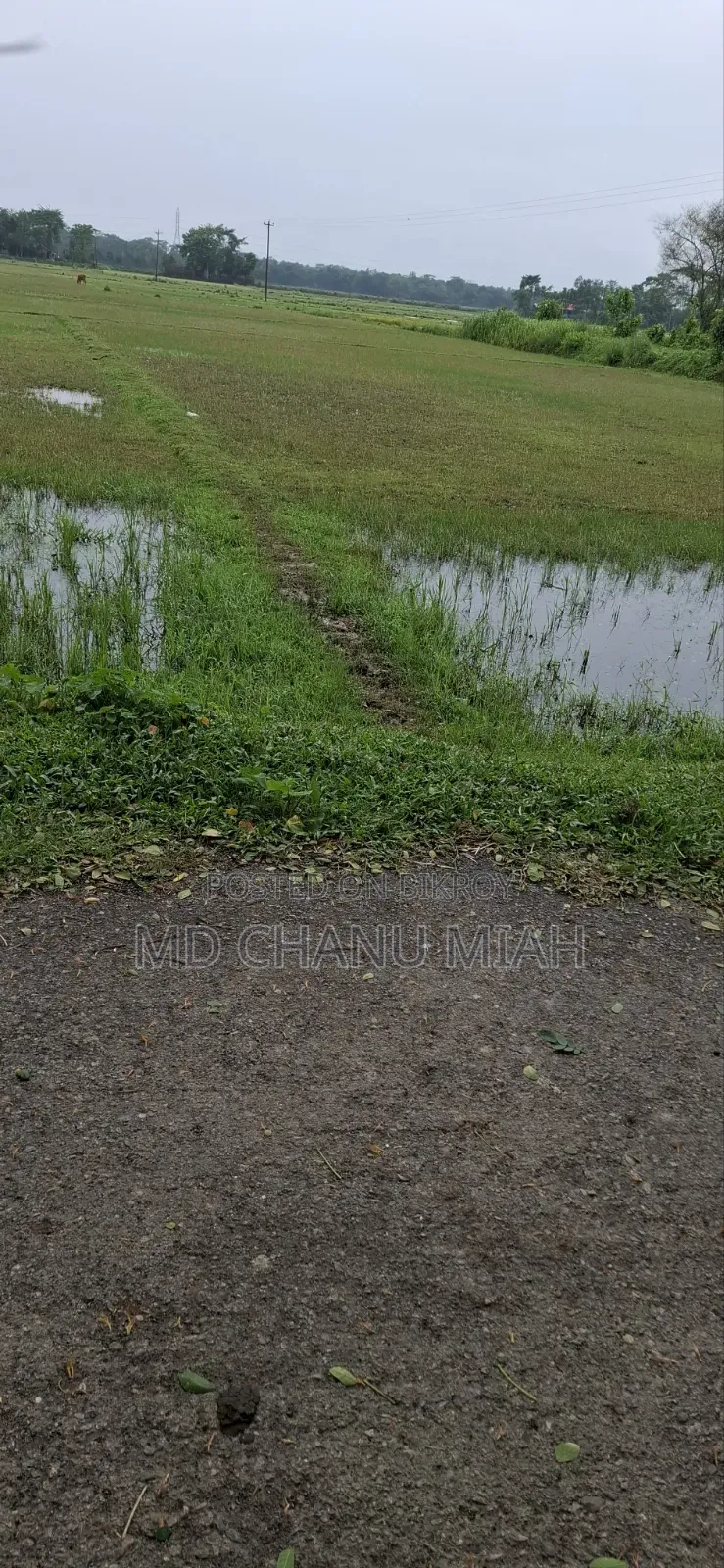 Urgent Land Sale