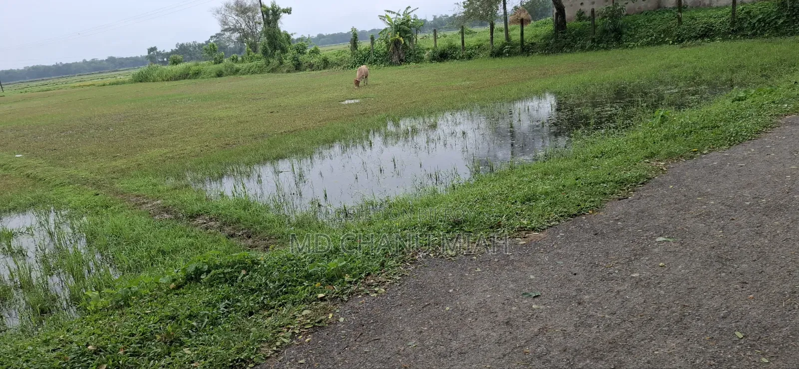 Urgent Land Sale