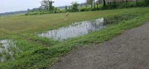 Urgent Land Sale