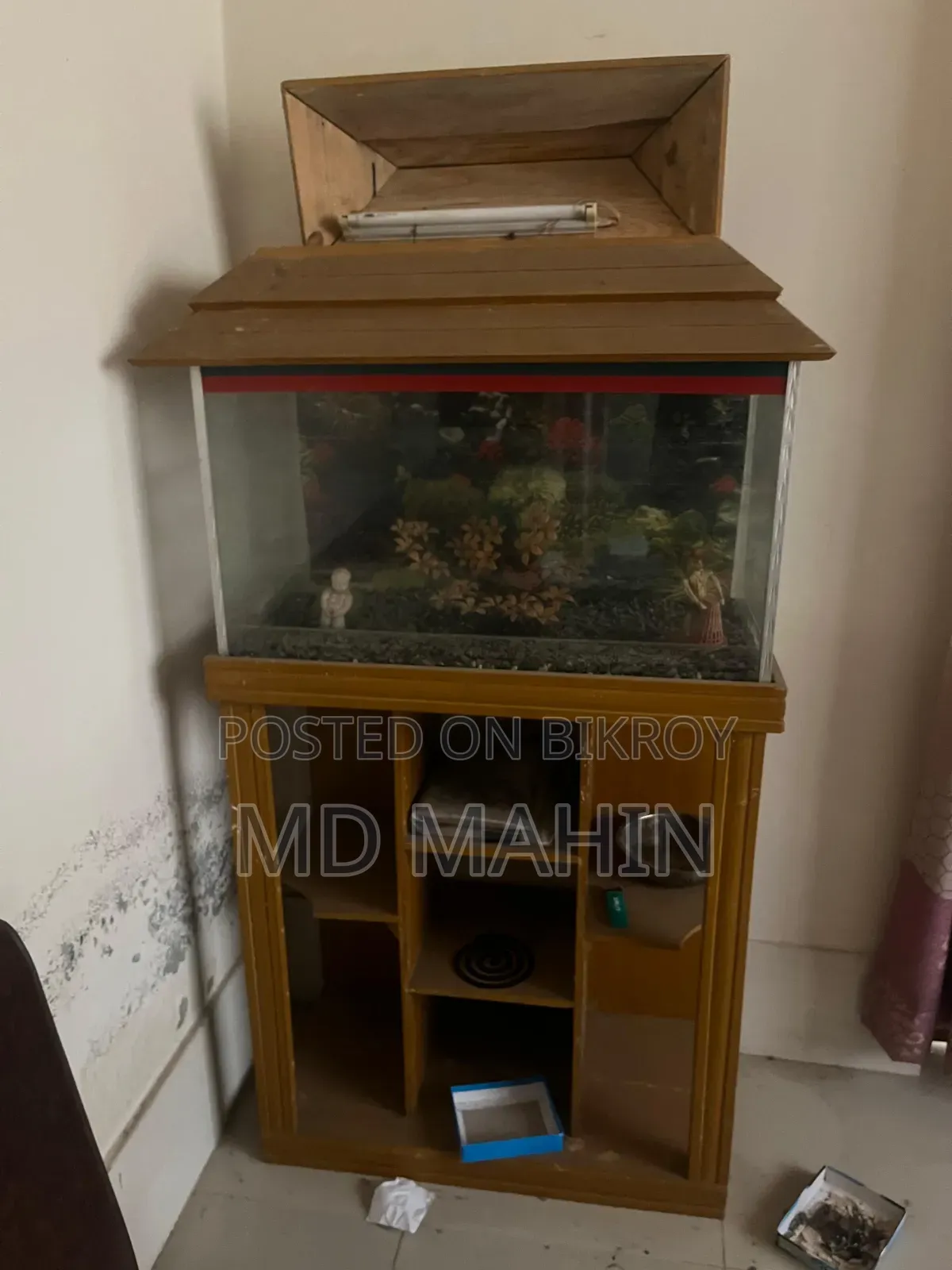 Fish Aquarium