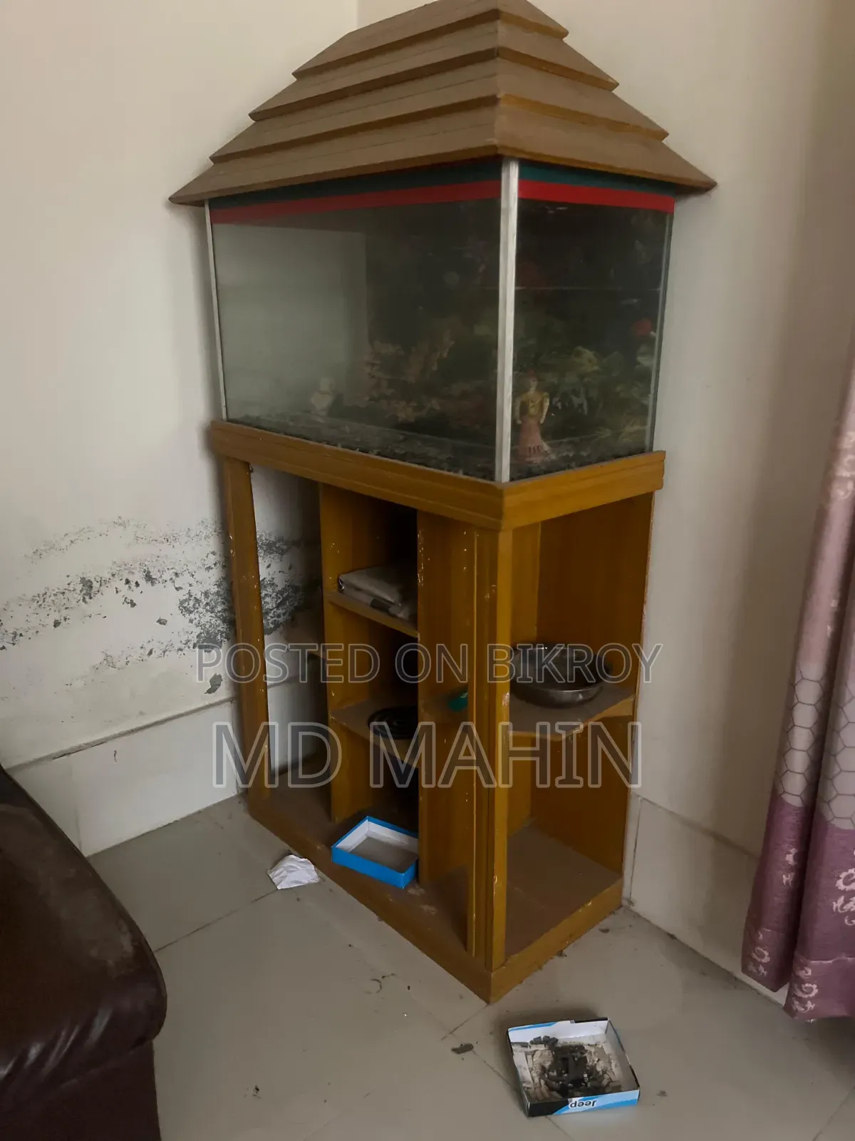 Fish Aquarium