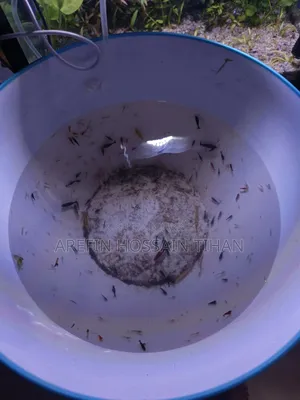 Complete Shrimp Aquarium Setup for Sale