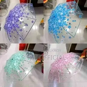 Transparent Umbrella
