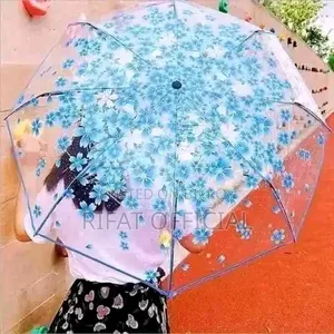 Transparent Umbrella