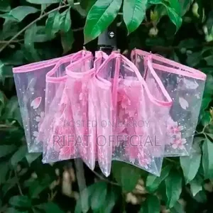 Transparent Umbrella