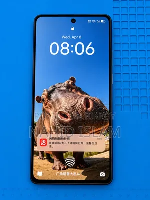 iQOO 13 256 GB Orange