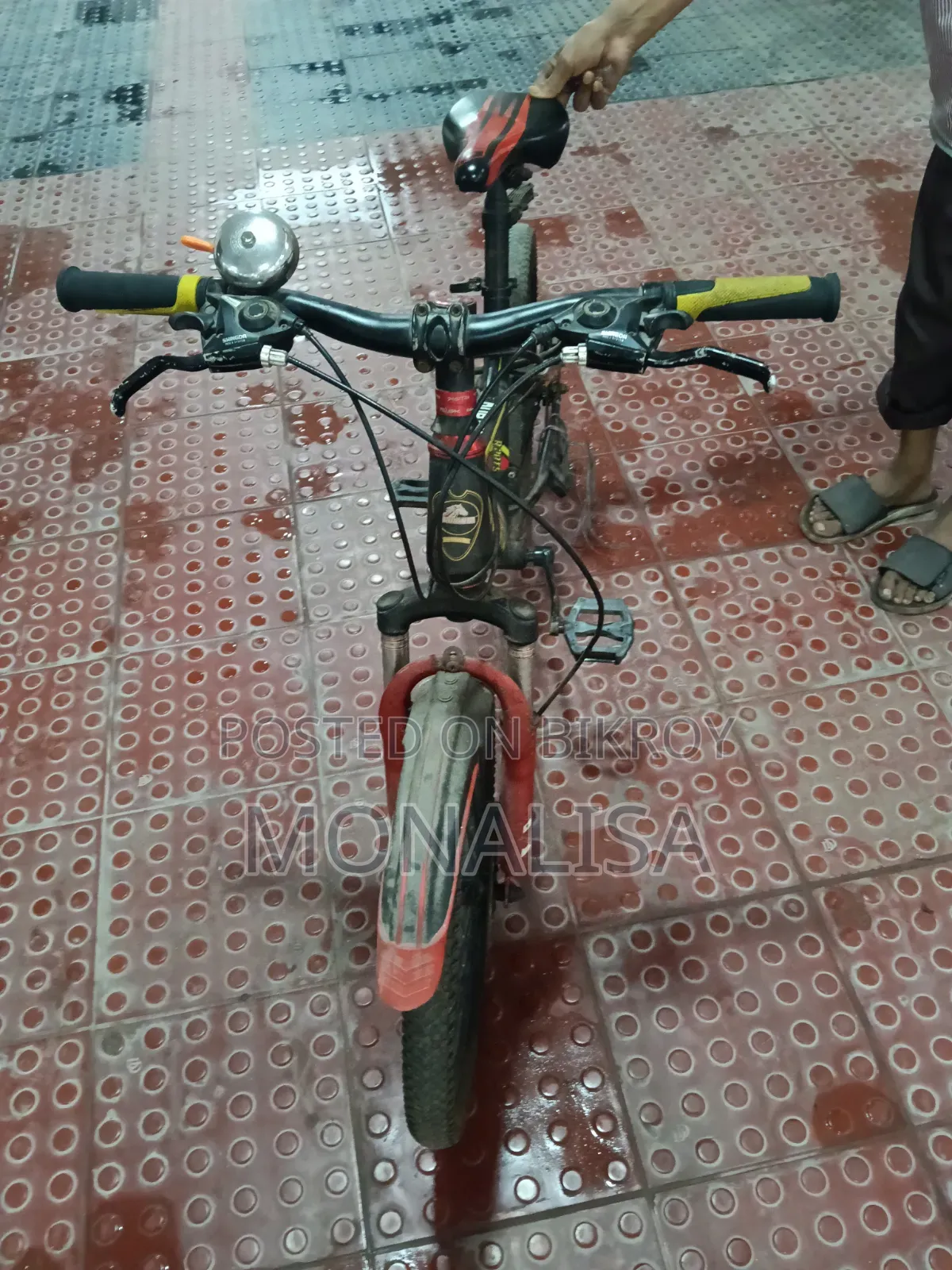 Used Bicycle