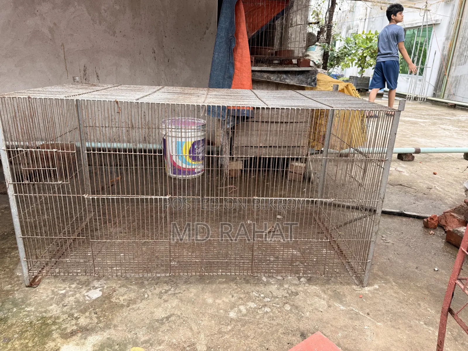 মুরগির এবং পাখির খাঁচা