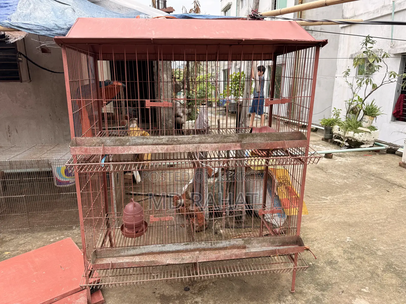 মুরগির এবং পাখির খাঁচা